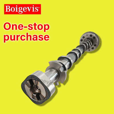 L'échantillon est soumis à un test de dépistage de l'infection.