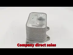 Coil d'allumage pour moteur de voiture en aluminium d'origine 06K117021B Remplacement pour B9 2.0T